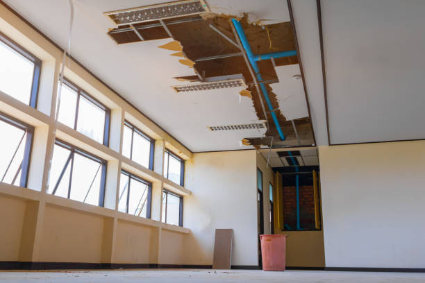 Best Water damage restoration near me  in Blue Mountain, MS