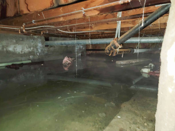 Best 24/7 water damage repair  in Blue Mountain, MS