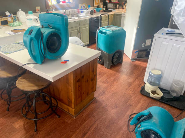 Best 24-hour water damage restoration  in Blue Mountain, MS