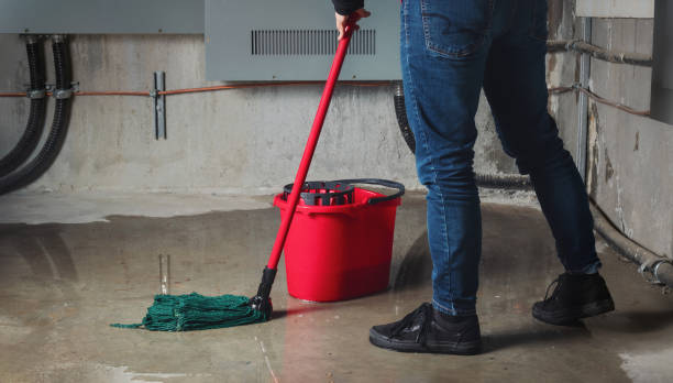 Best Mold removal after water damage  in Blue Mountain, MS