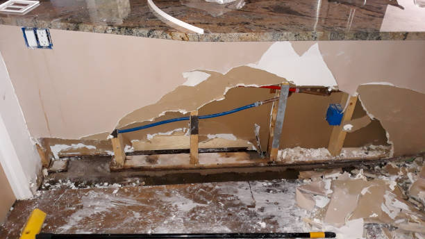 Best Residential water damage restoration  in Blue Mountain, MS