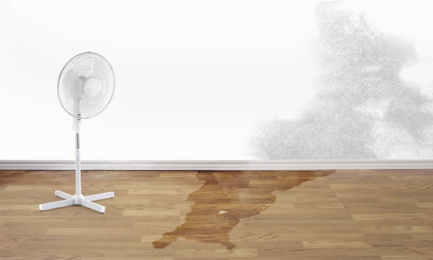  Blue Mountain, MS Water damage restoration Pros