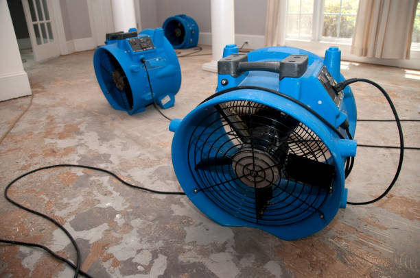 Best Flooded house restoration  in Blue Mountain, MS