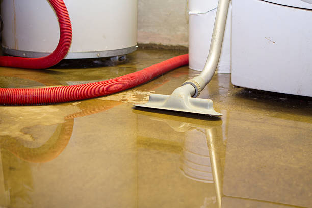 Best 24/7 water damage repair  in Blue Mountain, MS
