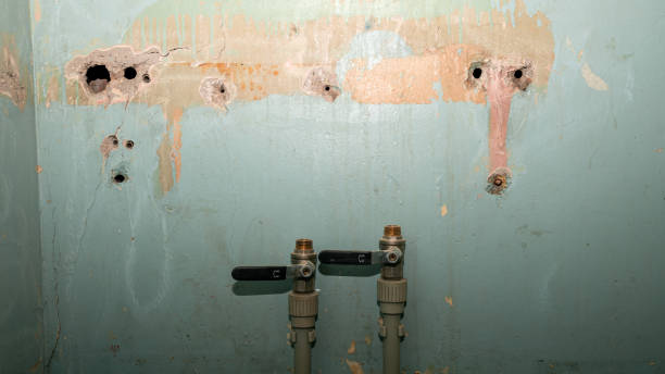 Best Emergency water damage restoration  in Blue Mountain, MS