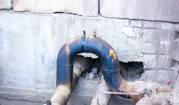 Best Professional water damage repair  in Blue Mountain, MS