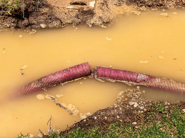 Best Water damage cleanup near me  in Blue Mountain, MS