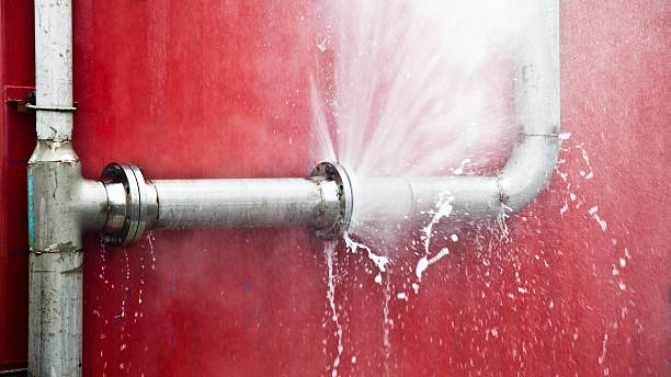 Best Sewage cleanup and water damage restoration  in Blue Mountain, MS